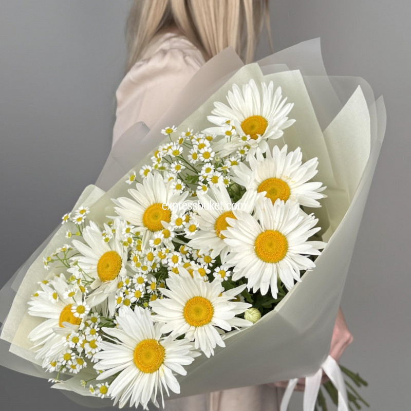 Милые ромашки