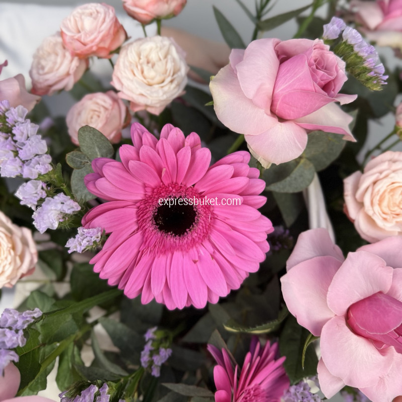 Сердце Парижа